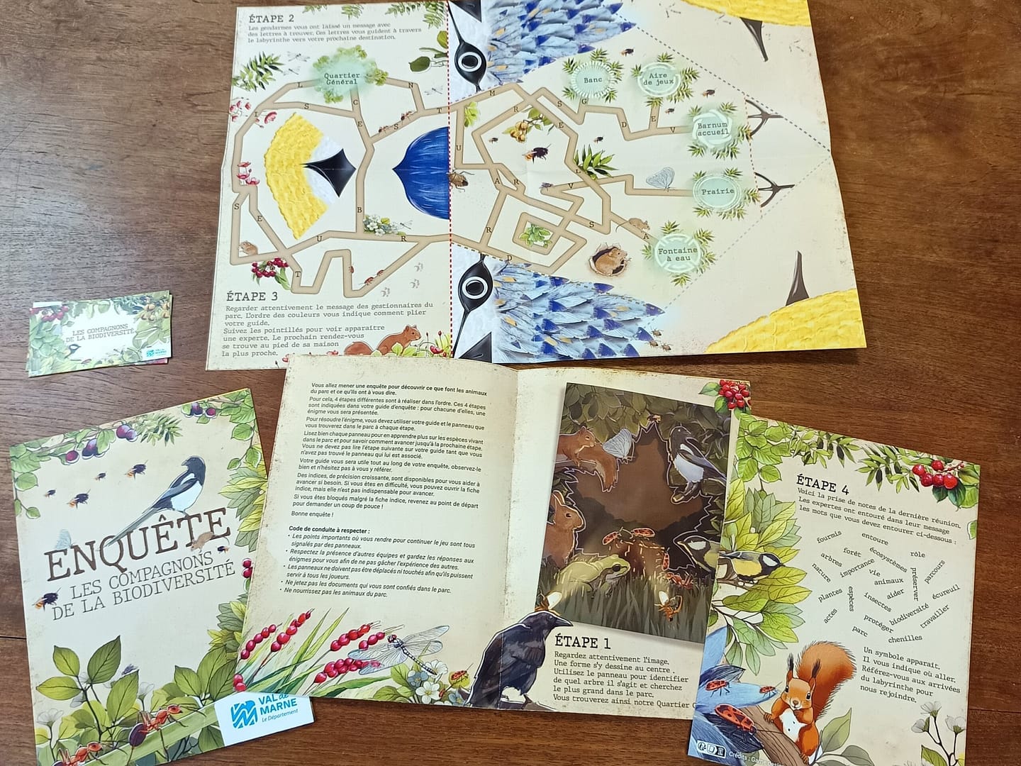 Les Compagnons de la Biodiversité – Dispositif ludique d'animation